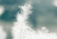 法國(guó)法令2019-1007協(xié)調(diào)與某些非食品產(chǎn)品安全有關(guān)的監(jiān)管規(guī)定